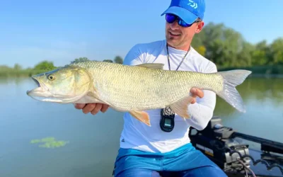 A víz robbanása – A balinfogás rejtélyei 1.rész