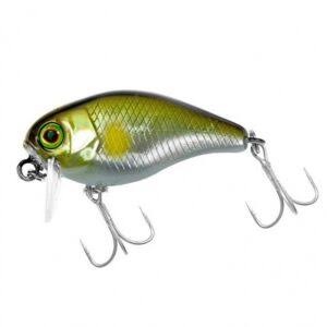 JACKALL CHUBBY 38F SSR